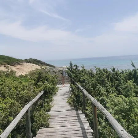 Acasamia 曼杜里亚