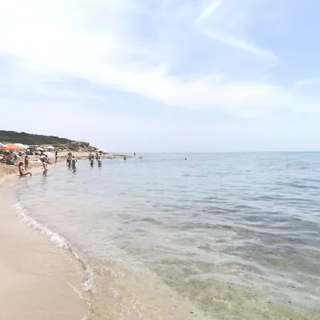 Acasamia * 曼杜里亚