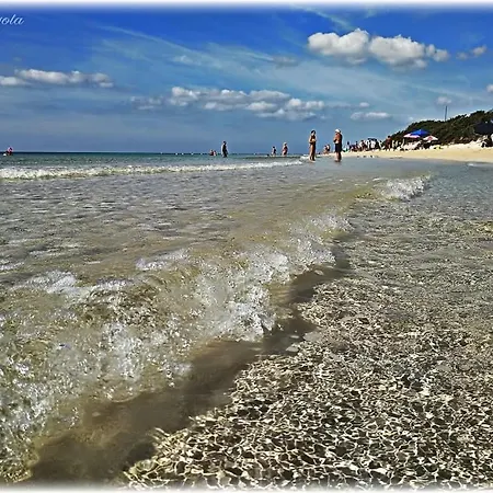 Acasamia * 曼杜里亚