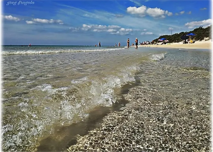 Acasamia * 曼杜里亚